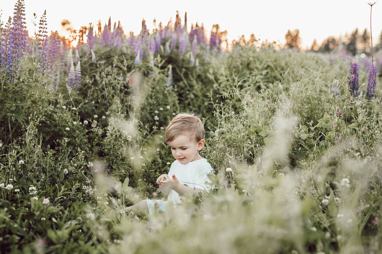 Foto: © Liana Mikah on unsplash.com