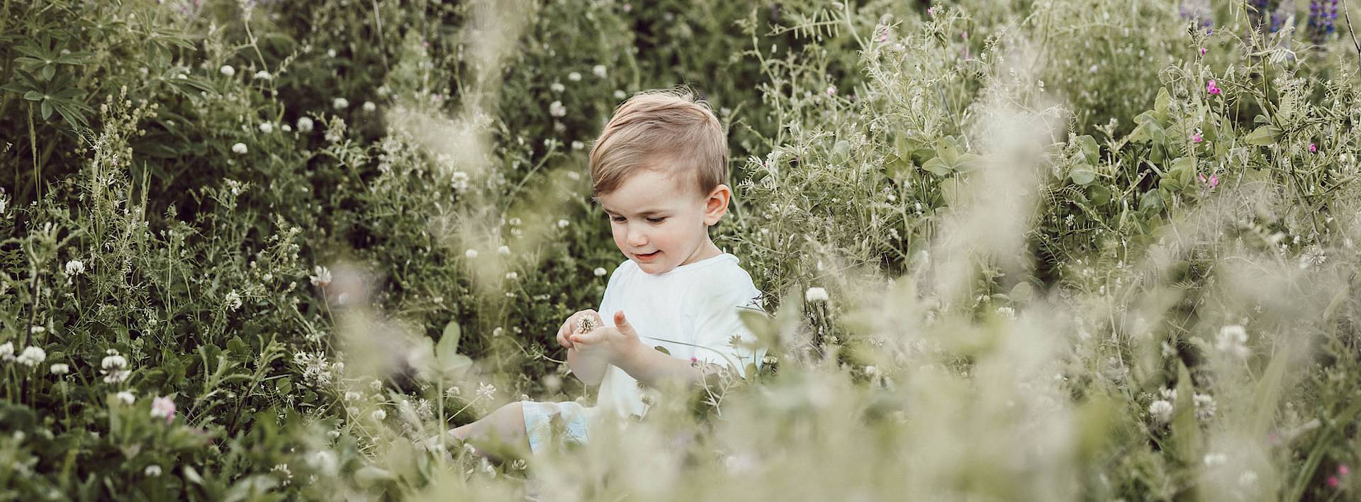 Foto: © Liana Mikah on unsplash.com