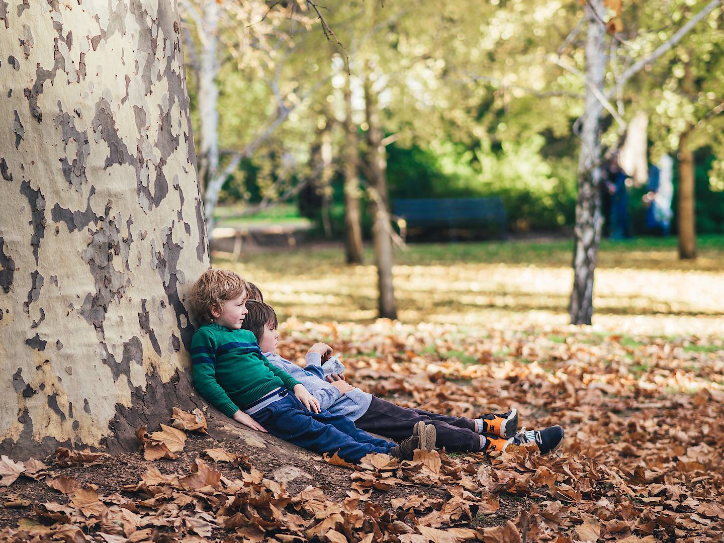 Foto: © Marcus Wallis on unsplash.com